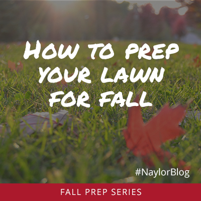 1_How-to-prep-lawn-for-fall_v2_SQ