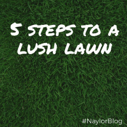 5-steps-to-lush-lawn