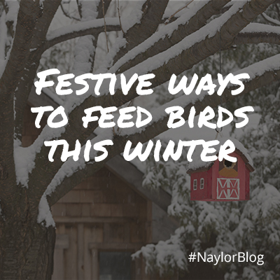 Festive-Ways-Feed-Birds-Winter_SQ