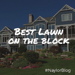 best-lawn-on-the-block