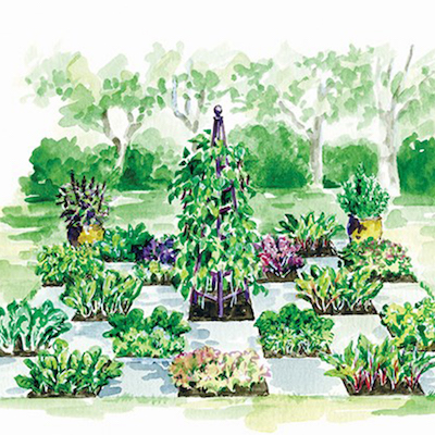 garden-design-SQ