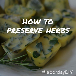 how-to-preserve-herbs