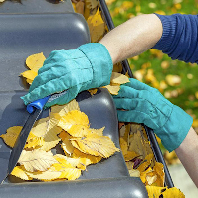 leaves-cleaning