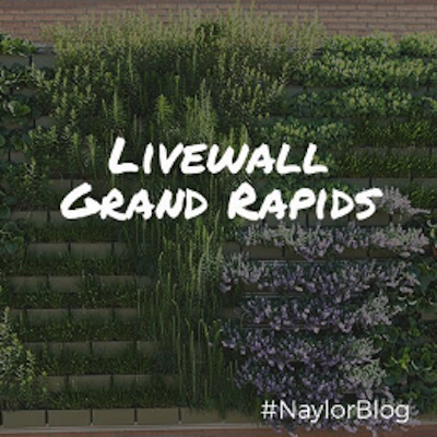 livewall-grand-rapids