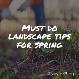 spring-landscape-tips