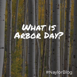 what-is-arbor-day