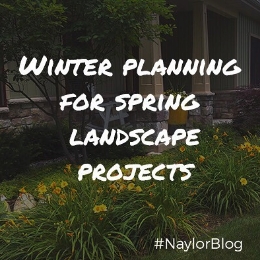 winter-planning-for-spring-landscape