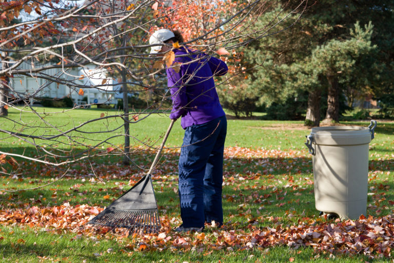 The Low-Down on Leaf Removal