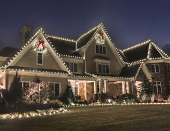 How Landscape Lighting Can Make Your Home Look More Beautiful and Safe ...