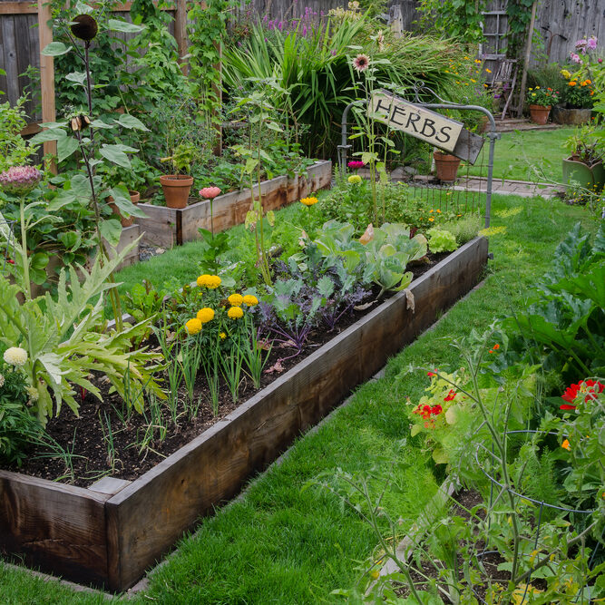 herb garden